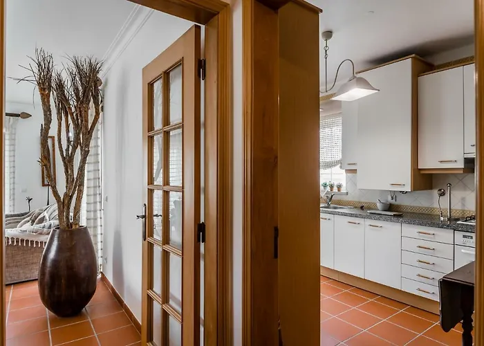 Burgo Dom Afonso V Golf & 別荘